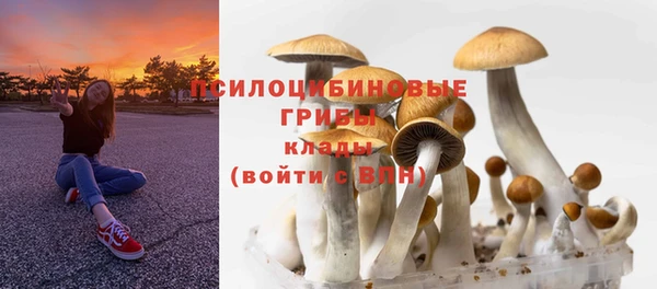 экстази Алзамай