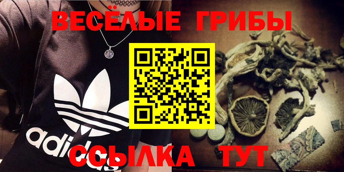 Псилоцибиновые грибы мухоморы  Вход с VPN  Усть-Лабинск 